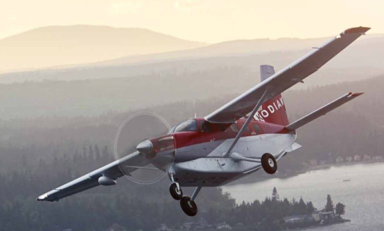 Kodiak 100