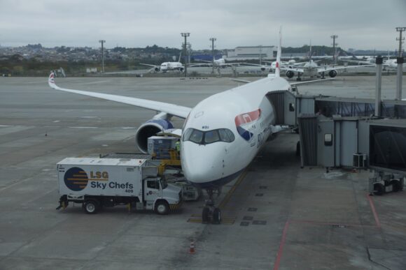 MG 7333 scaled | MG 7333 scaled