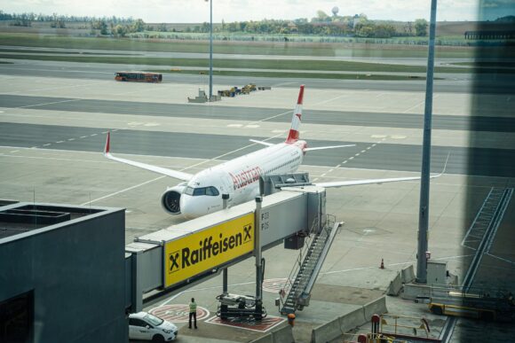 311258316 10159130206199842 6620704123698349804 n |    311258316 10159130206199842 6620704123698349804 n