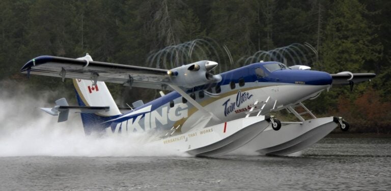 Viking 1 Otter