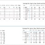 1H25 duopoly deliveries