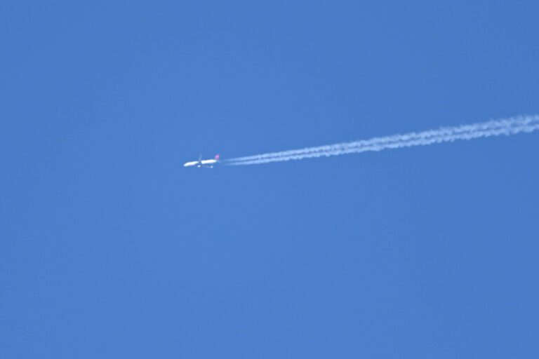 DSC 0085